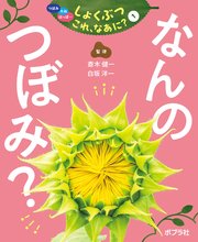 つぼみ・たね・はっぱ・・・ しょくぶつ これ、なあに？ 1 なんの つぼみ？