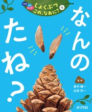 つぼみ・たね・はっぱ・・・ しょくぶつ これ、なあに？ 2 なんの たね？