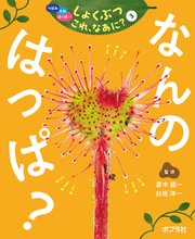 つぼみ・たね・はっぱ・・・ しょくぶつ これ、なあに？ 3 なんの はっぱ？