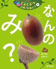 つぼみ・たね・はっぱ・・・ しょくぶつ これ、なあに？ 4 なんの み？