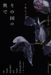 その国の奥で