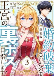 【新装版】婚約破棄されたので王宮の裏ボス目指します！