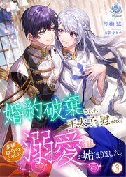 婚約破棄された王太子を慰めたら、業務命令のふりした溺愛が始まりました。 3巻
