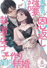 TL小説 ライトノベルの作品一覧｜【コミックシーモア】漫画・電子書籍ストア国内最大級！無料・試し読みも豊富！