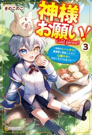 神様お願い！　～神様のトバッチリで異世界に転生したので心穏やかにスローライフを送りたい～ 3巻