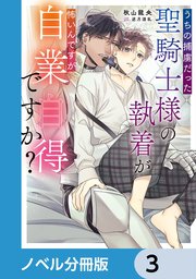 うちの捕虜だった聖騎士様の執着が怖いんですが自業自得ですか？【ノベル分冊版】 3
