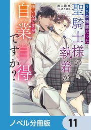 うちの捕虜だった聖騎士様の執着が怖いんですが自業自得ですか？【ノベル分冊版】 11
