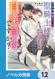 うちの捕虜だった聖騎士様の執着が怖いんですが自業自得ですか？【ノベル分冊版】 12