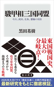 駿甲相三国同盟 今川、武田、北条、覇権の攻防