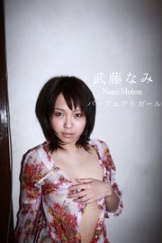 武藤なみ パーフェクトガール