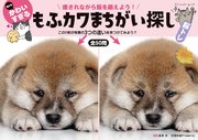 何ともかわいすぎる もふカワまちがい探し