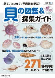 見て、さわって、不思議を学ぶ！貝の図鑑＆採集ガイド
