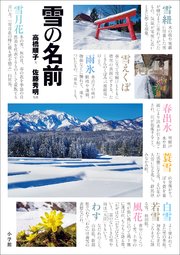 雪の名前  ～まほろば歳時記～