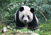 また会えたね！シャンシャン ～「毎日パンダ」のはるばる中国旅～