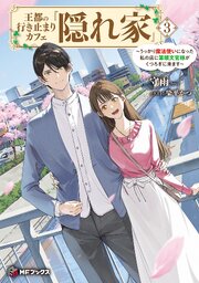王都の行き止まりカフェ『隠れ家』 ～うっかり魔法使いになった私の店に筆頭文官様がくつろぎに来ます～