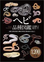 ヘビ品種図鑑：品種・変異を豊富に掲載 飼育前の個体選びに役立つ