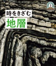 日本列島5億年の旅 大地のビジュアル大図鑑 時をきざむ地層