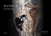 キツツキの世界