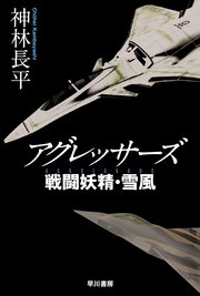 アグレッサーズ 戦闘妖精・雪風