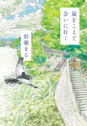嵐をこえて会いに行く