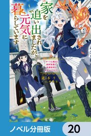 家を追い出されましたが、元気に暮らしています【ノベル分冊版】 20