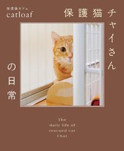 保護猫チャイさんの日常