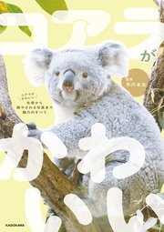 コアラがかわいい 生態から癒やされる写真まで魅力のすべて