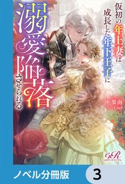 仮初の年上妻は成長した年下王子に溺愛陥落させられる【ノベル分冊版】 3