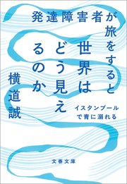発達障害者が旅をすると世界はどう見えるのか イスタンブールで青に溺れる