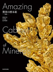 驚異の標本箱 ‐鉱物‐