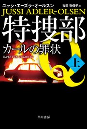 特捜部Q―カールの罪状― 上