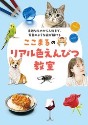 ここまるのリアル色えんぴつ教室：身近なものから人物まで、写真のような絵が描ける