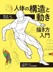 人体の構造と動き 描き方入門 人体を描くうえで重要なポイントを完全解説