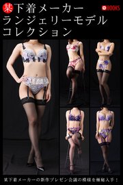 某下着メーカー ランジェリーモデルコレクション  ベスト
