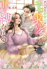 クールな御曹司の理不尽な求愛に甘く縛られる