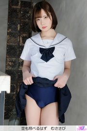 空も翔べるはず むささび