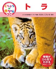 くらべてみよう！どうぶつの赤ちゃん 21 トラ