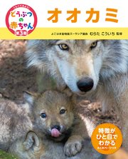 くらべてみよう！どうぶつの赤ちゃん 22 オオカミ