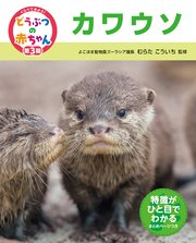 くらべてみよう！どうぶつの赤ちゃん 23 カワウソ