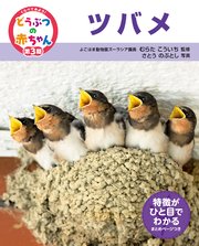 くらべてみよう！どうぶつの赤ちゃん 25 ツバメ