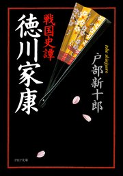 戦国史譚 徳川家康