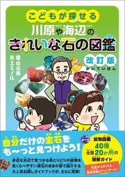こどもが探せる川原や海辺のきれいな石の図鑑 改訂版