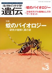生物の科学 遺伝 2025年5月発行号 Vol.79 No.3 1巻