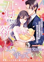 <華麗なる三兄弟の極上結婚シリーズ>君だけが欲しい～財界覇王の長男は秘密のママになった元婚約者に最愛を捧ぐ～