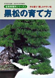 盆栽樹種別シリーズ2 黒松の育て方