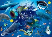 海の聲をきく －Unforgetable Encounter－