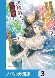 置き去りにされた花嫁は、辺境騎士の不器用な愛に気づかない【ノベル分冊版】 3