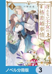 冴えない王女の格差婚事情【ノベル分冊版】 3
