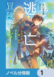聖女のおまけは逃亡したけど違った？ でももう冒険者なんで！【ノベル分冊版】