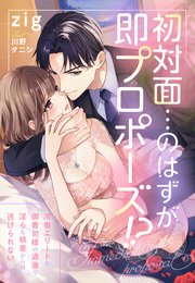 初対面…のはずが即プロポーズ！？～冷徹エリートな御曹司様の過激で淫らな執着からは逃げられない～